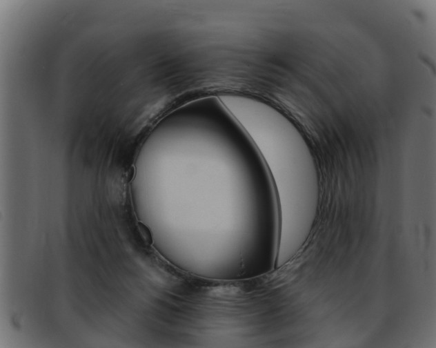 X0000093430168200710120925