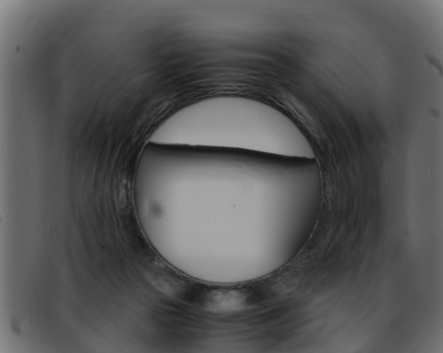 X0000093430169200710120925