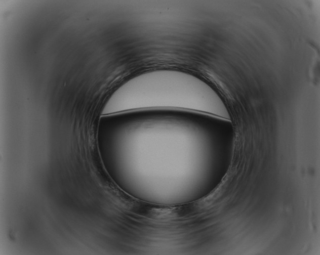 X0000093430170200710120925