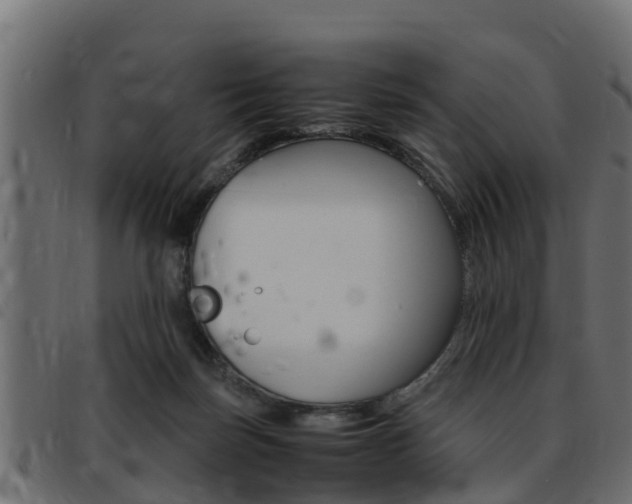 X0000093430171200710120925
