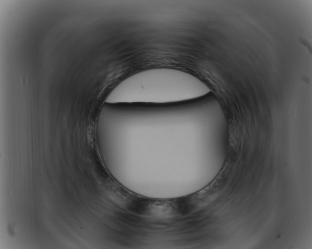 X0000093430175200710120925