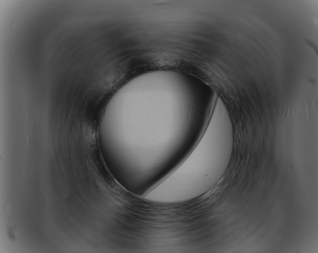 X0000093430176200710120925
