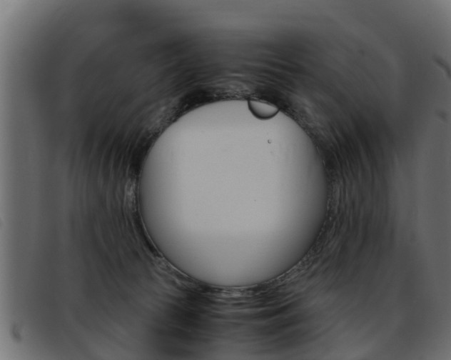 X0000093430177200710120925