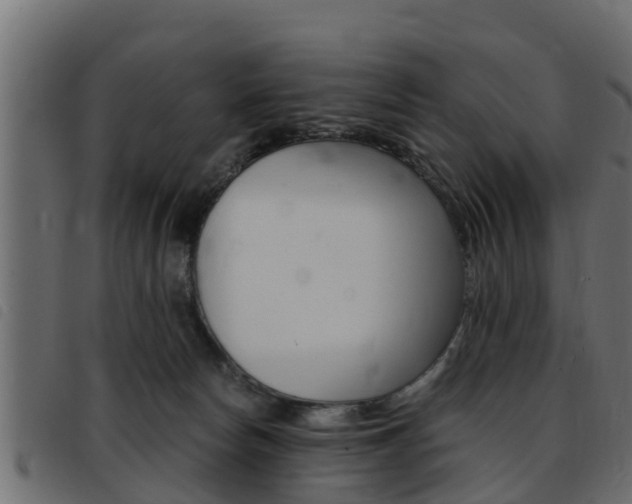 X0000093430178200710120925