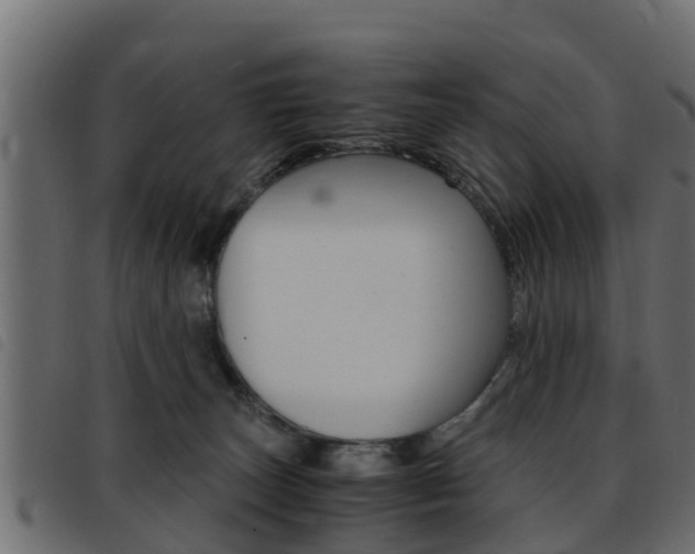 X0000093430179200710120925