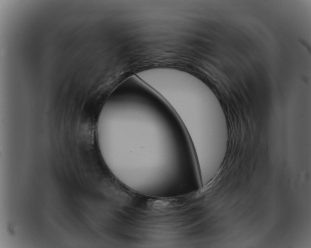 X0000093430180200710120925