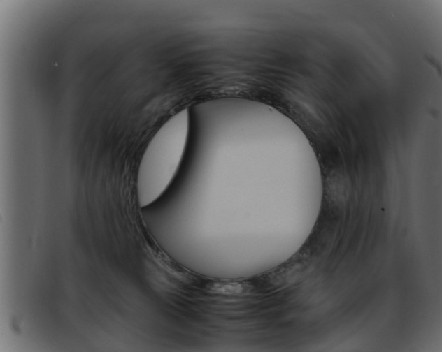 X0000093430181200710120925