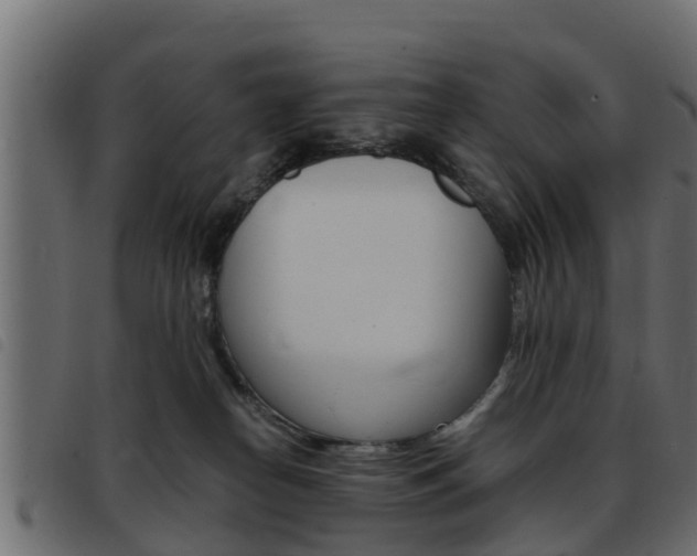 X0000093430182200710120925