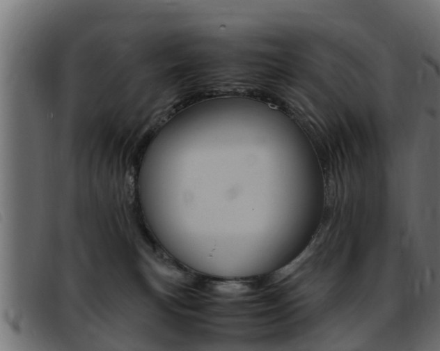 X0000093430183200710120925
