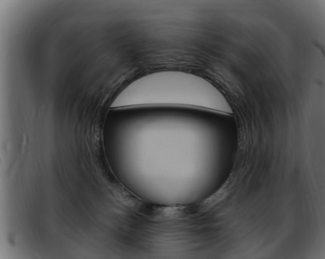 X0000093430184200710120925