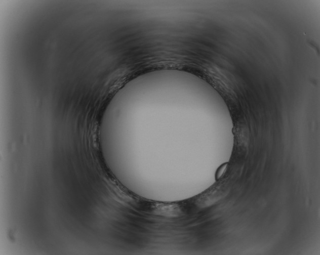 X0000093430185200710120925