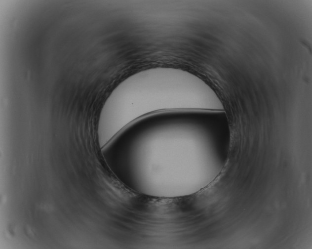 X0000093430186200710120925