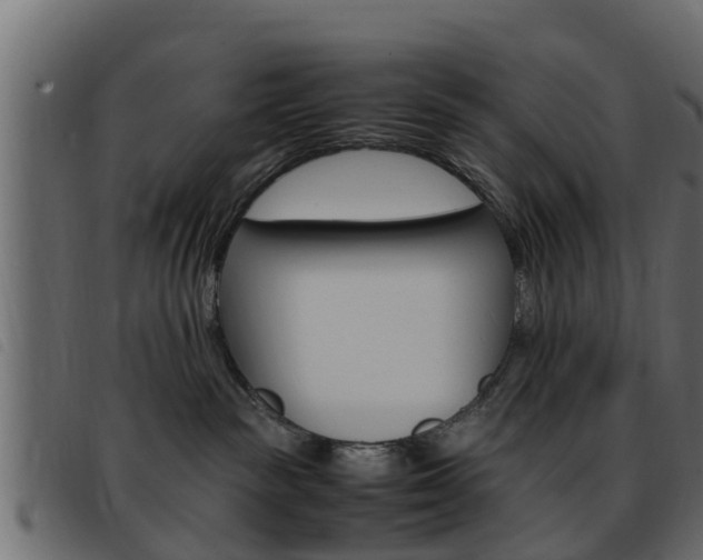 X0000093430189200710120925