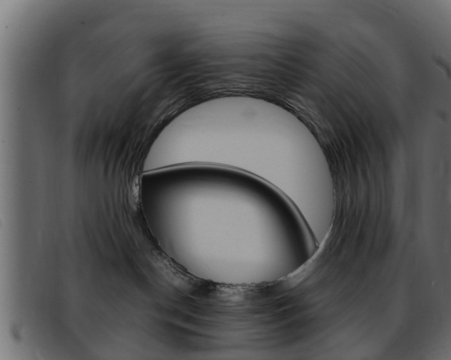 X0000093430190200710120925