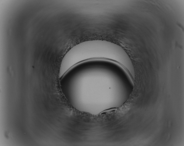 X0000093430192200710120925