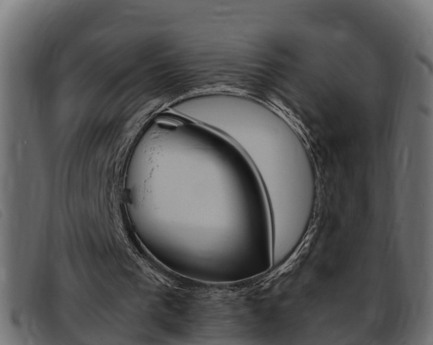 X0000093430193200710120925