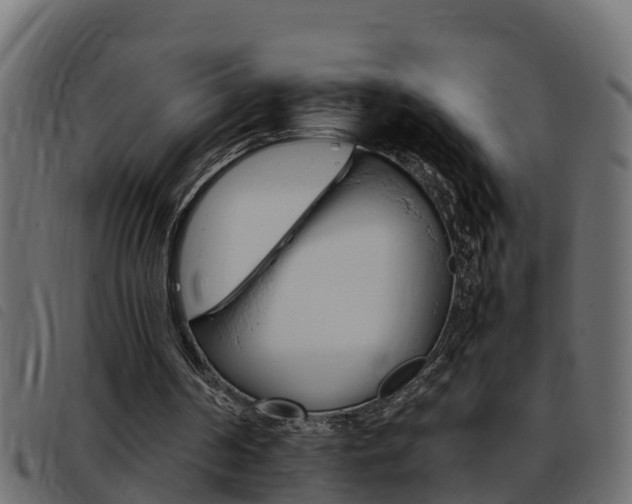 X0000093430194200710120925