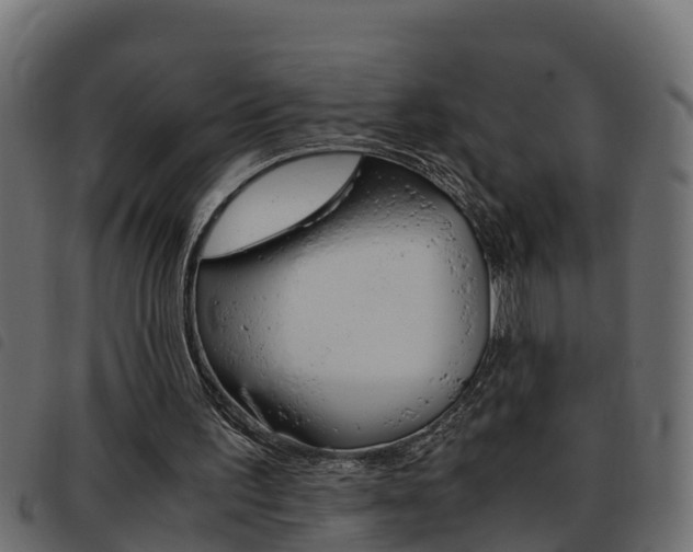 X0000093430195200710120925