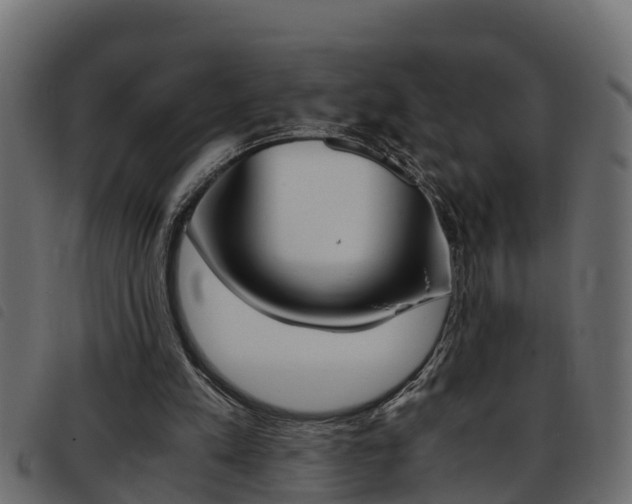 X0000093430197200710120925