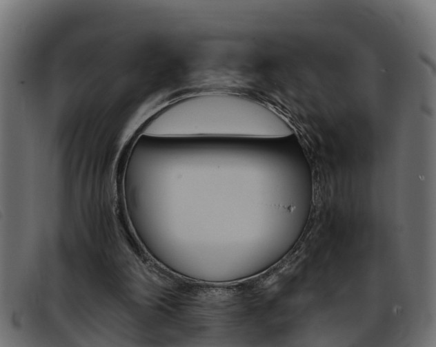 X0000093430198200710120925