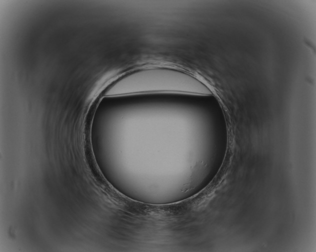 X0000093430199200710120924