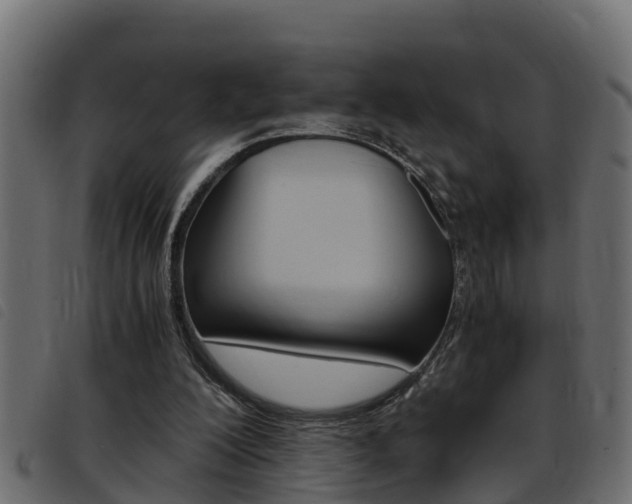 X0000093430200200710120924