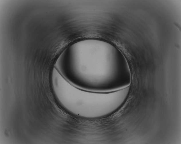 X0000093430201200710120924