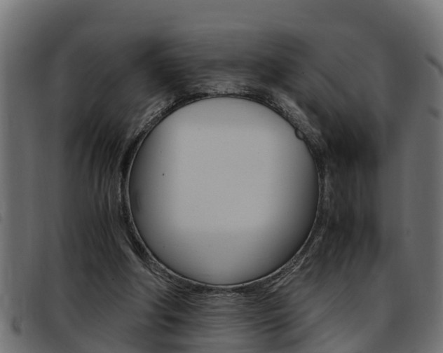 X0000093430202200710120924