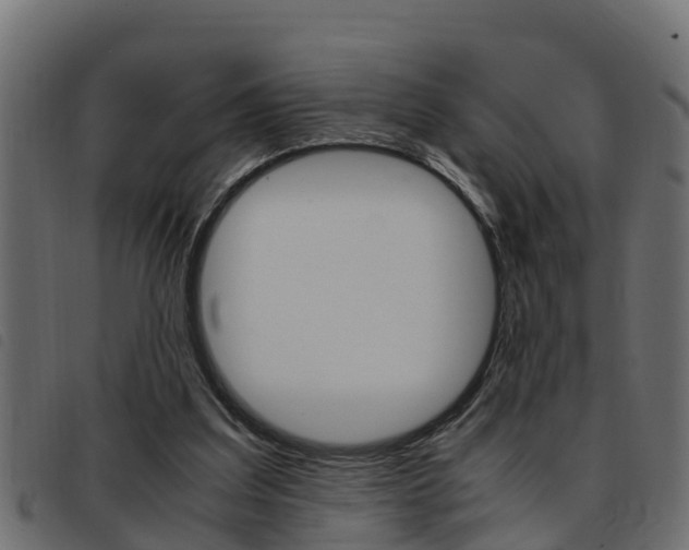 X0000093430203200710120924