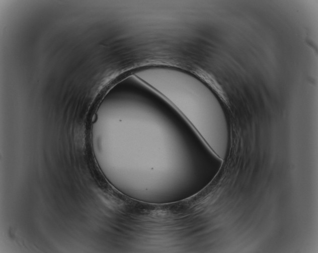 X0000093430204200710120924