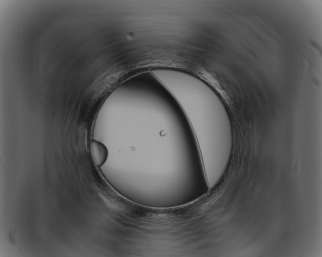 X0000093430205200710120924
