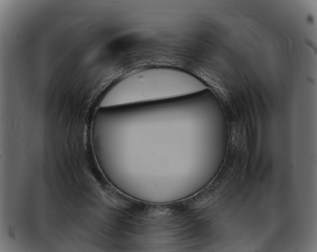 X0000093430206200710120924