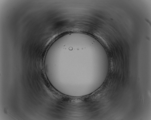 X0000093430208200710120924