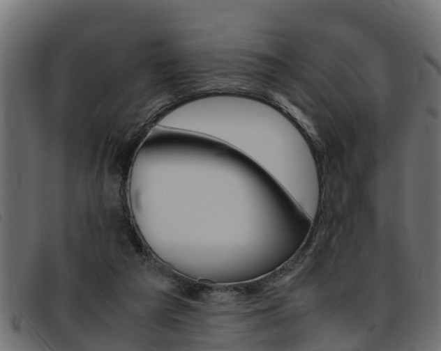 X0000093430209200710120924