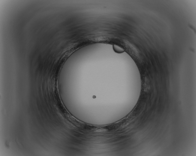 X0000093430210200710120924