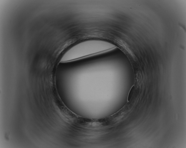 X0000093430212200710120924