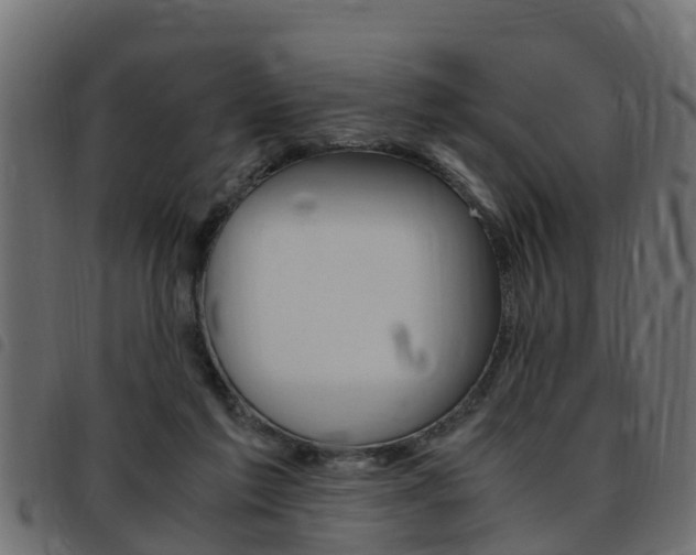 X0000093430213200710120924
