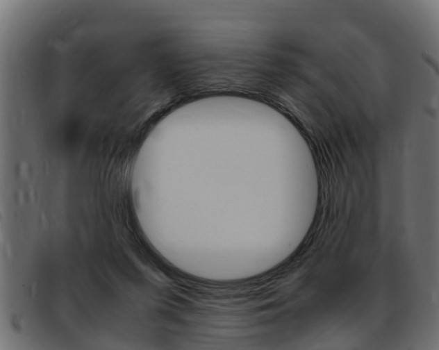 X0000093430215200710120924