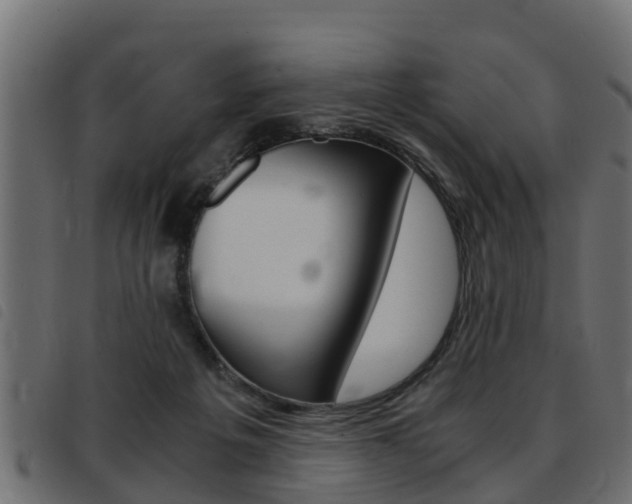 X0000093430217200710120924