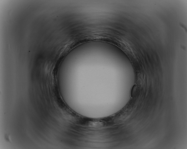 X0000093430220200710120924