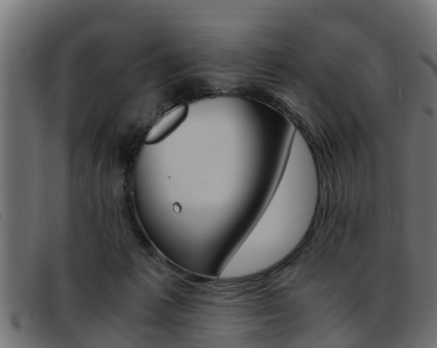 X0000093430221200710120924