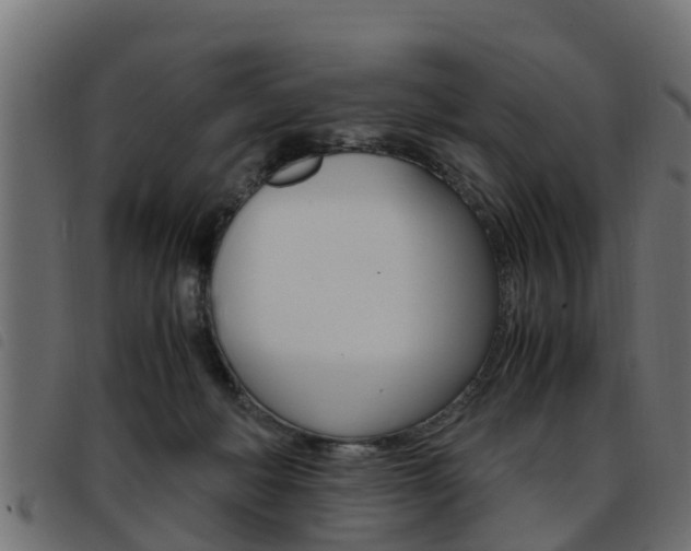 X0000093430222200710120924