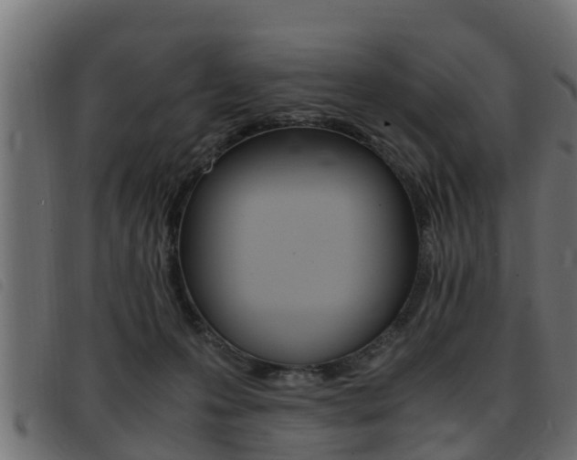 X0000093430223200710120924