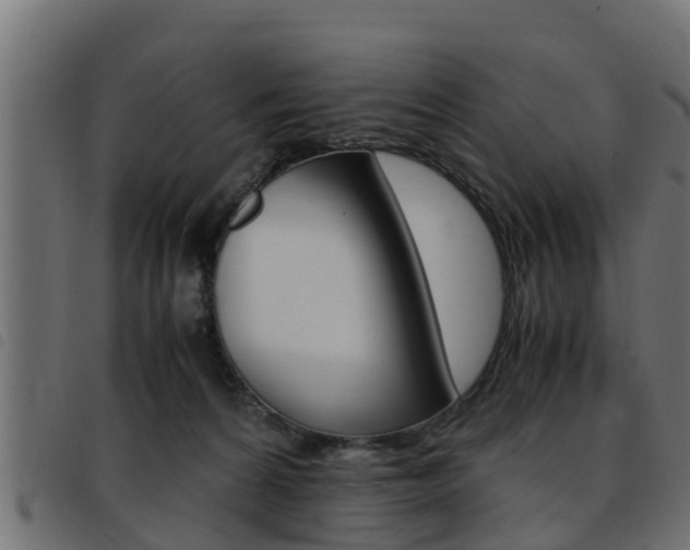 X0000093430224200710120924