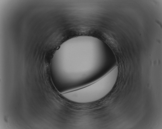 X0000093430225200710120924