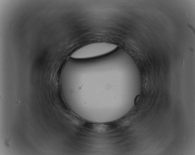 X0000093430226200710120924