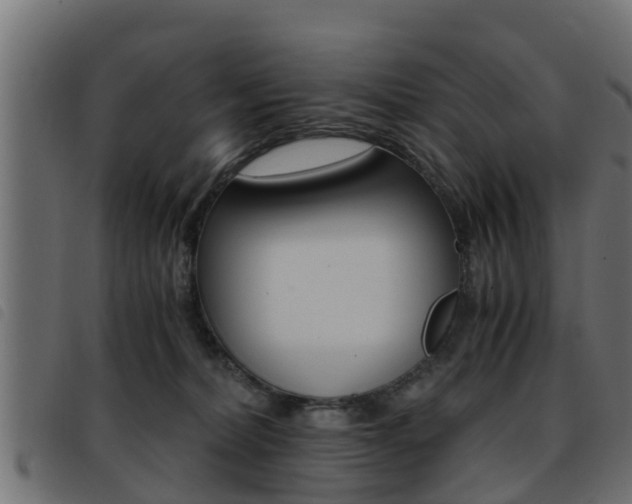 X0000093430228200710120924