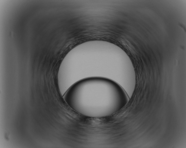 X0000093430229200710120924