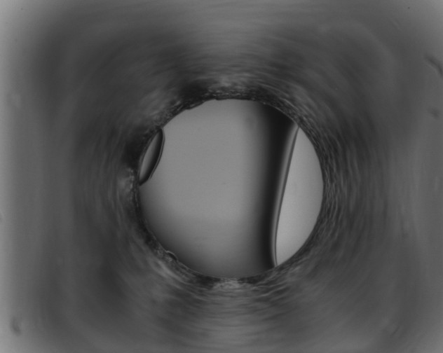 X0000093430231200710120924