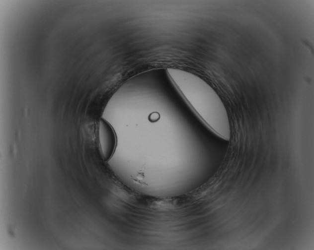 X0000093430232200710120924